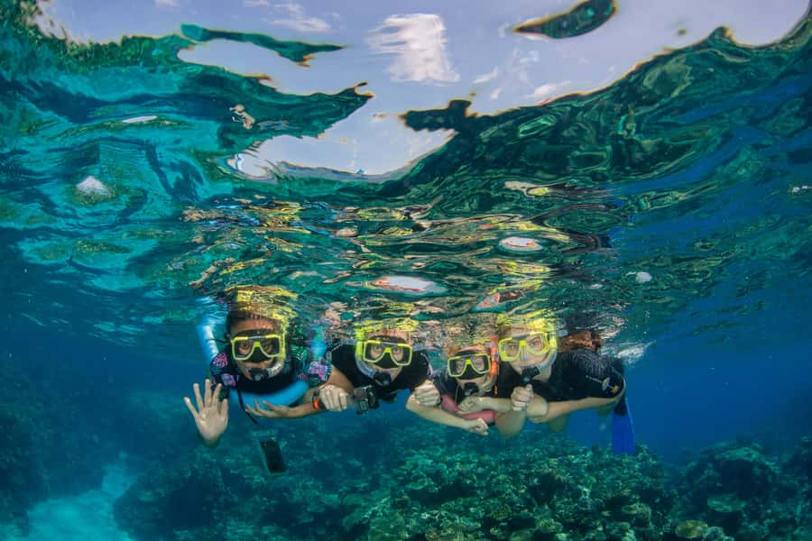 Cairns: Best Value All-inclusive Reef Trip With Scuba Dive - A full reef day from Cairns