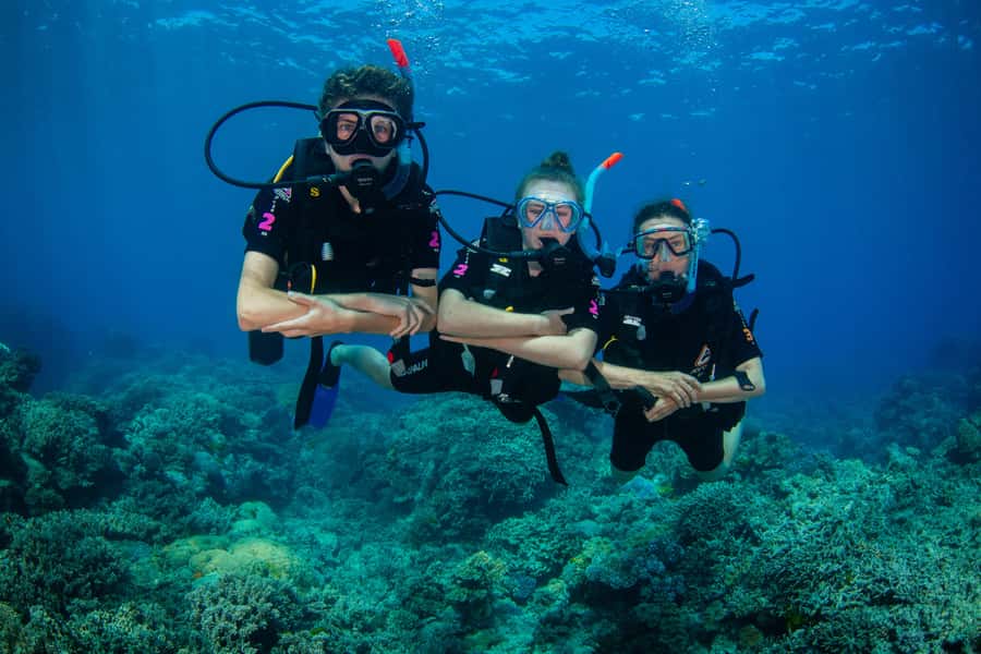 Cairns: Best Value All-inclusive Reef Trip With Scuba Dive - BBQ lunch and the second reef location