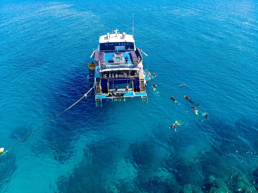 Cairns: Best Value All-inclusive Reef Trip With Scuba Dive - Should you book it?