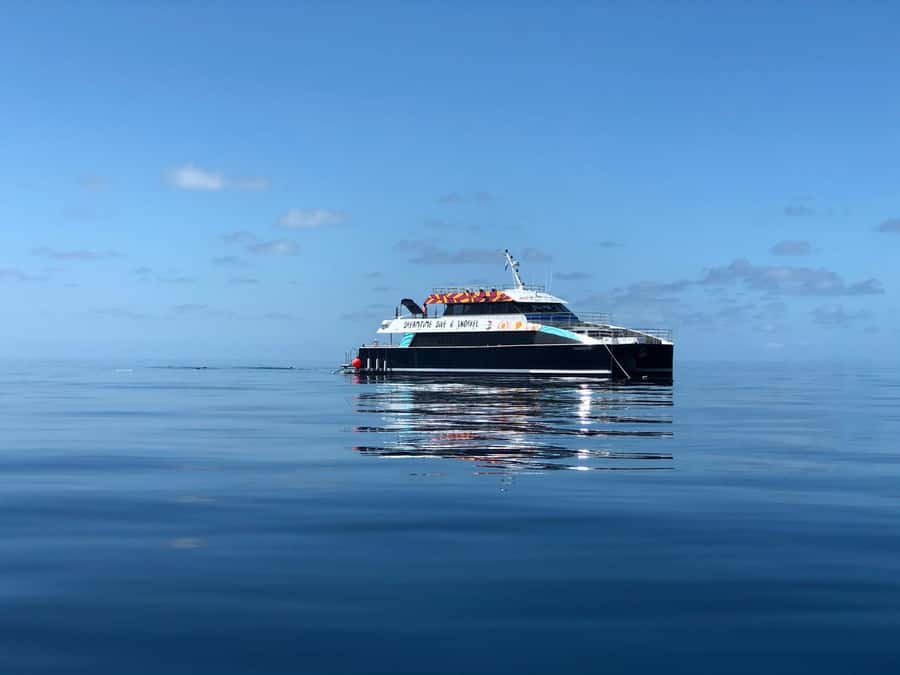 Cairns: Great Barrier Reef Premium Diving Full Day Tour - Two outer reef sites, not a rushed coastal stop