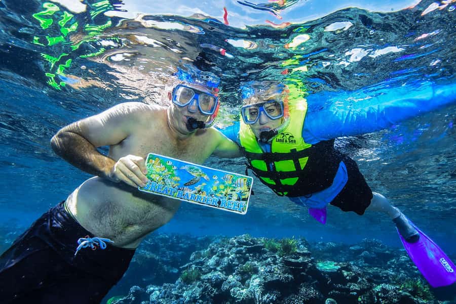 Cairns: Great Barrier Reef Premium Diving Full Day Tour - Should you book it?