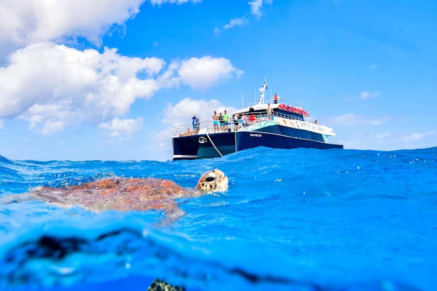 Cairns: Great Barrier Reef Premium Diving Full Day Tour - Food, seating, and the long day aboard