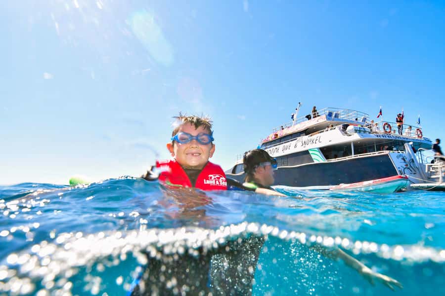 Cairns: Great Barrier Reef Premium Diving Full Day Tour - Who will get the most from this reef trip?