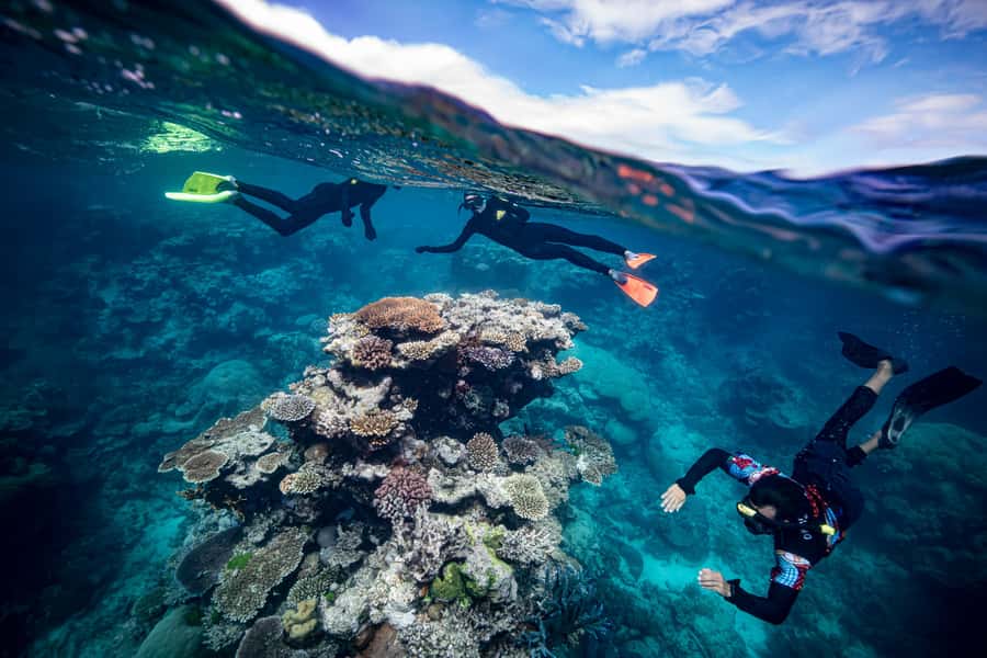 Cairns: Great Barrier Reef Premium Diving Full Day Tour - Practical advice before you go