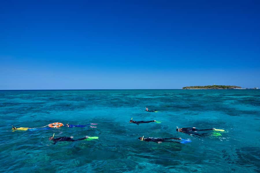 Cairns: Green Island Full-Day Tour with Diving - Snorkeling brings you close to coral and fish