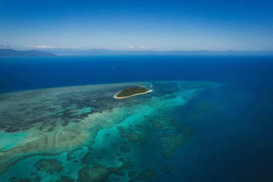 Cairns: Green Island Full-Day Tour with Diving - Dry viewing works for non-swimmers