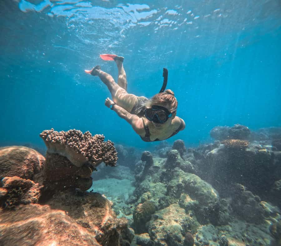 Cairns: Green Island Full-Day Tour with Diving - Lunch depends on the package you select