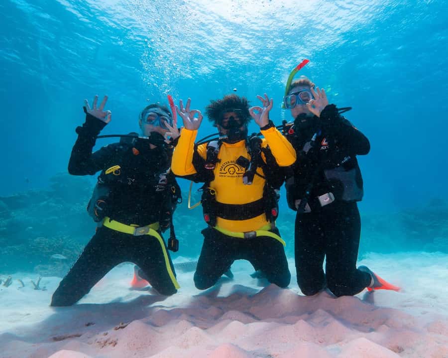 Cairns: Green Island Full-Day Tour with Diving - What to bring and what to leave alone