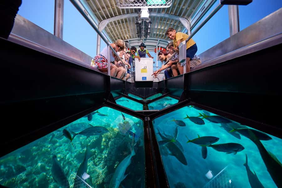 Cairns: Green Island Full-Day Tour with Diving - The boat ride sets the pace for the day