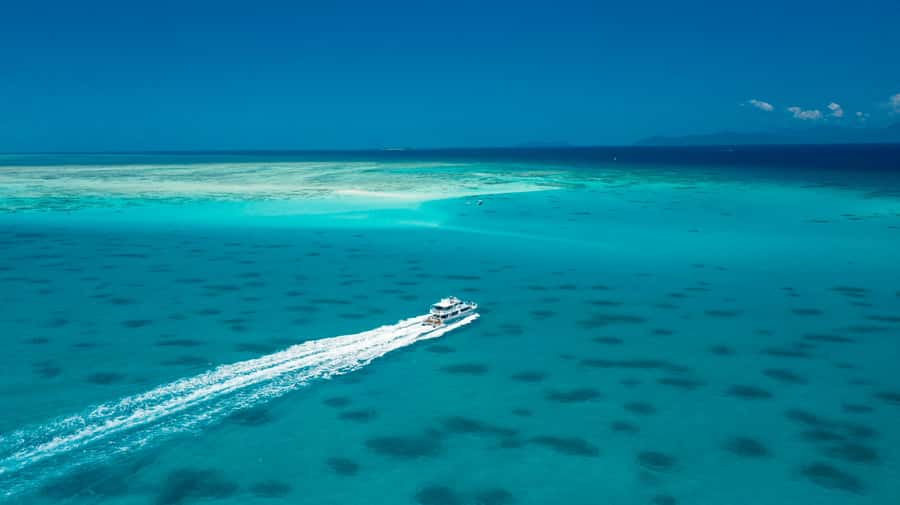 Cairns: Outer and Coral Cay Snorkel and Dive Cruise - Who should choose this reef cruise?