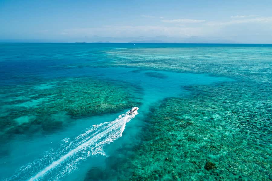 Cairns: Outer and Coral Cay Snorkel and Dive Cruise - Why six reef hours matter from Cairns