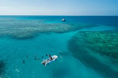 Cairns: Outer and Coral Cay Snorkel and Dive Cruise