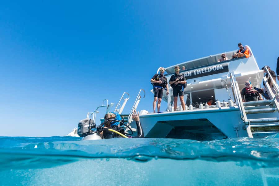 Cairns: Outer and Coral Cay Snorkel and Dive Cruise - Optional scuba sessions with patient instruction