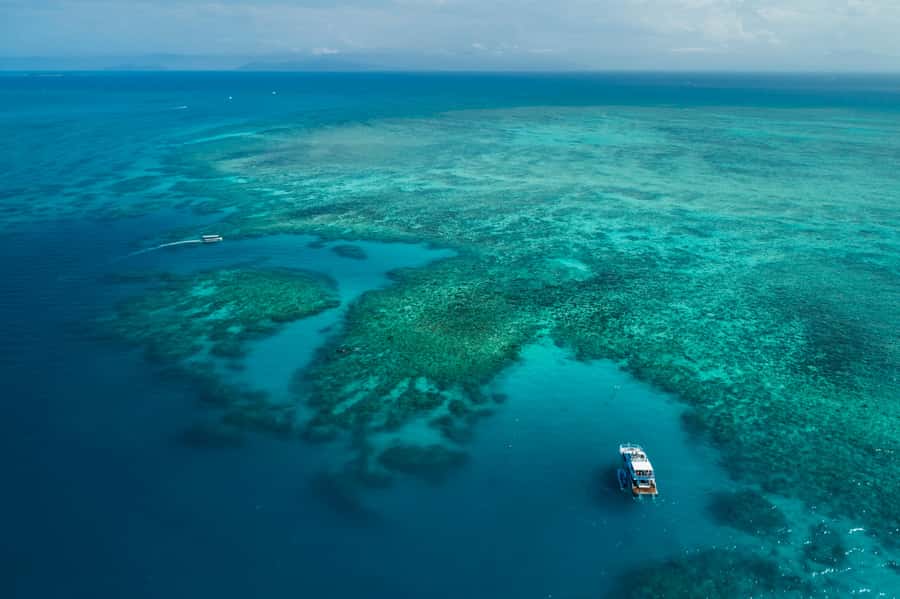 Cairns: Outer and Coral Cay Snorkel and Dive Cruise - Upolu Cay and the Aquarium area