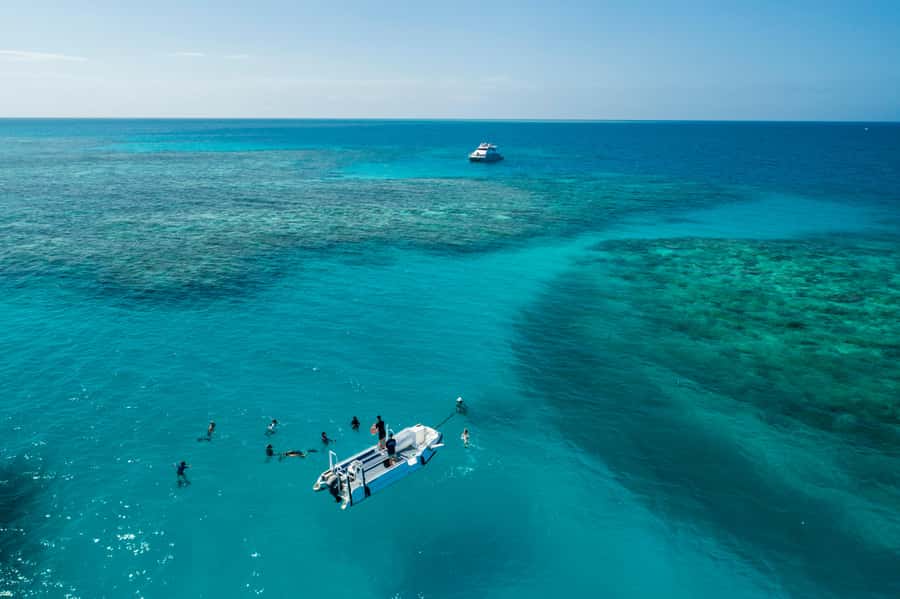 Cairns: Outer and Coral Cay Snorkel and Dive Cruise - From Marlin Marina to the outer reef