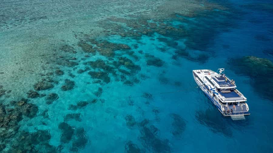 Cairns: Premium Snorkelling and Diving Reef Day Trip - Why the outer reef is worth the long ride