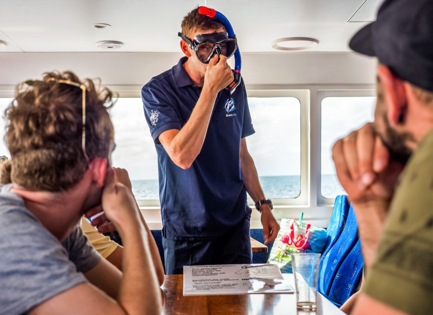 Cairns: Premium Snorkelling and Diving Reef Day Trip - Should you book the AquaQuest reef trip?