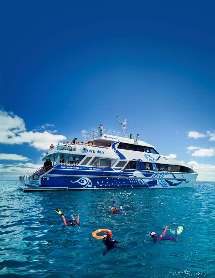 Cairns: Premium Snorkelling and Diving Reef Day Trip - Lunch, hot showers, and a useful midday break