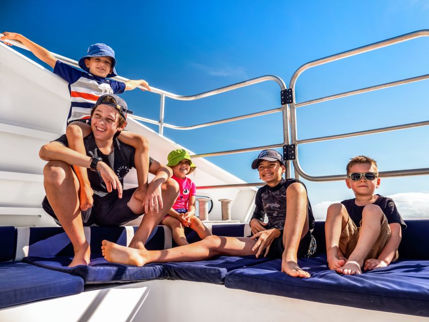 Cairns: Premium Snorkelling and Diving Reef Day Trip - The second reef site: a fresh look at the coral