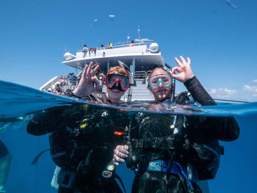 Cairns: Premium Snorkelling and Diving Reef Day Trip - What the crew does well
