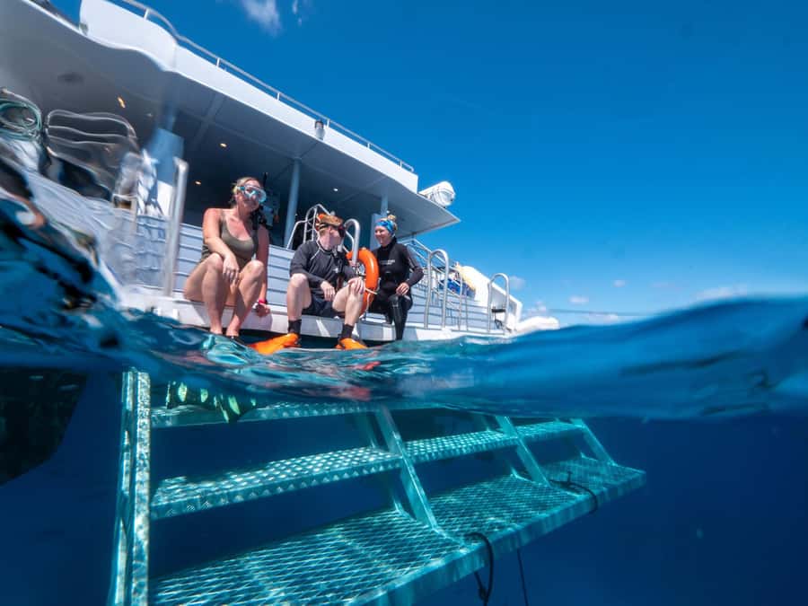 Cairns: Premium Snorkelling and Diving Reef Day Trip - How the $166 price works out