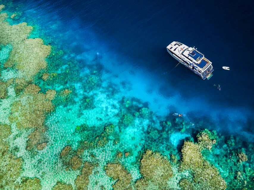 Cairns: Premium Snorkelling and Diving Reef Day Trip - Who should book this reef day trip