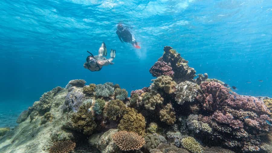 Cairns: Premium Snorkelling and Diving Reef Day Trip - The first reef stop: time to get comfortable