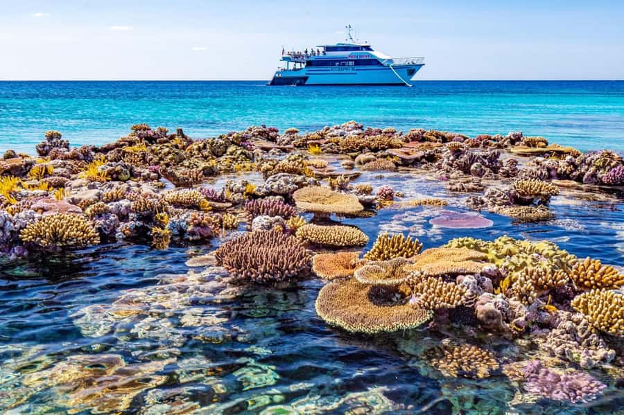 Cairns: Pro Dive 5 Day Learn to Dive Great Barrier Reef - Four training sessions on the outer reef