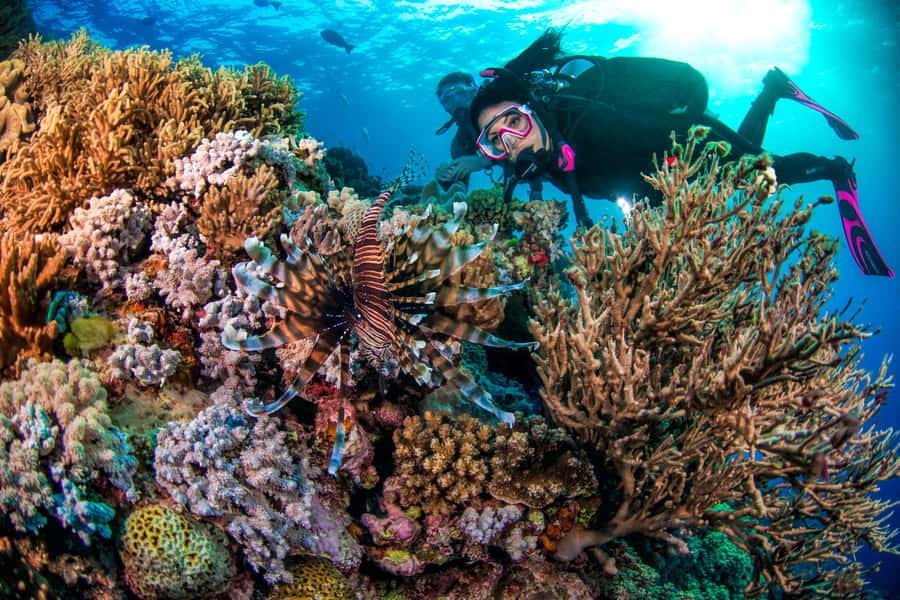 Cairns: Pro Dive 5 Day Learn to Dive Great Barrier Reef - Is this Great Barrier Reef course worth booking?