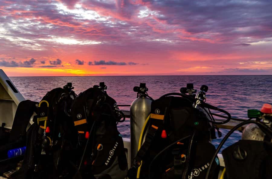 Cairns: Pro Dive Great Barrier Reef 3 Day/2 Night Dive Trip - What to pack and what to check first