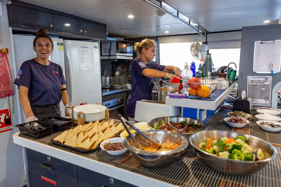 Cairns: Pro Dive Great Barrier Reef 3 Day/2 Night Dive Trip - Should you book the Pro Dive Cairns liveaboard?