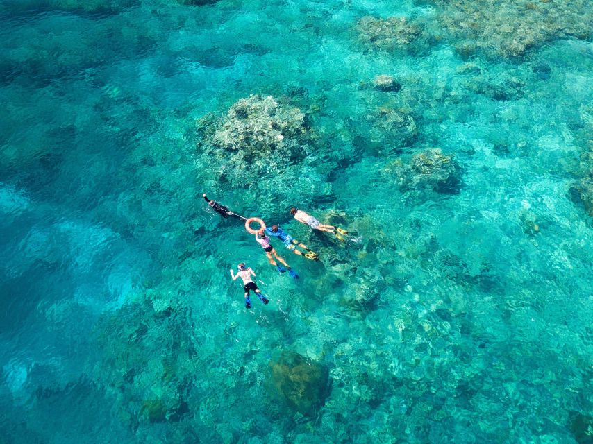 Cairns: Snorkelling and Diving Reef Day Trip - Snorkelling support for nervous beginners