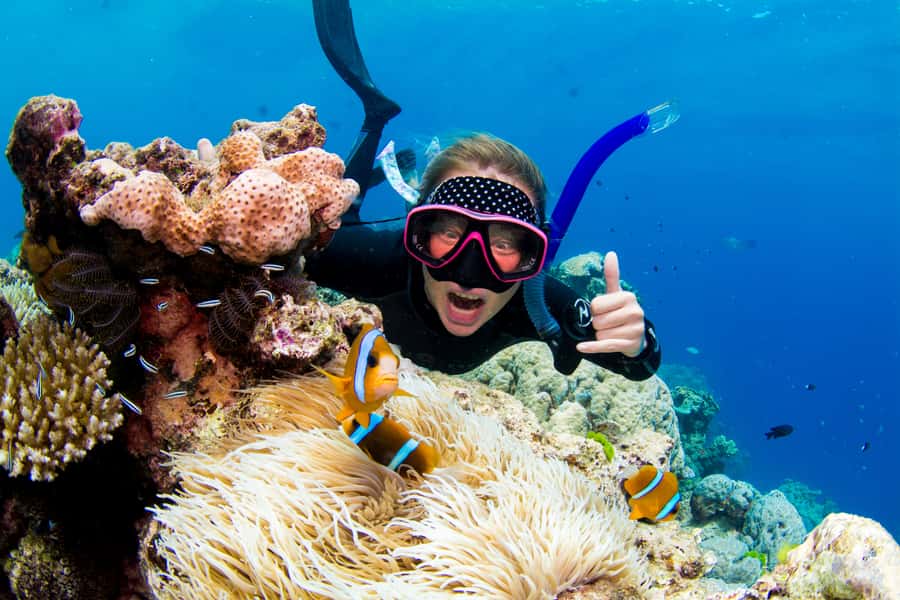 Cairns: Snorkelling and Diving Reef Day Trip - Two reef sites and four hours in the water