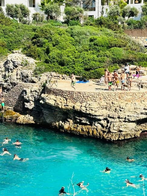 Cala en Blanes: Secret spots for the best dives with a local guide - Key points to know before booking