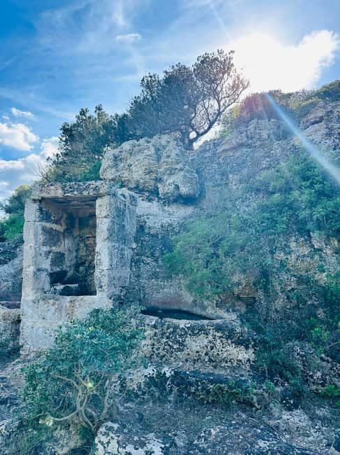 Cala en Blanes: Secret spots for the best dives with a local guide - The guide’s personal touch