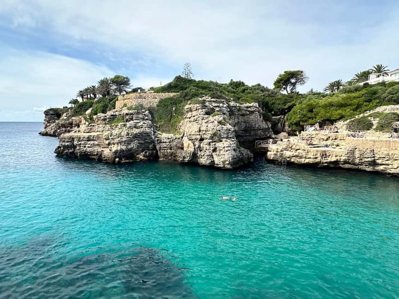 Cala en Blanes: Secret spots for the best dives with a local guide - Who will enjoy this outing most