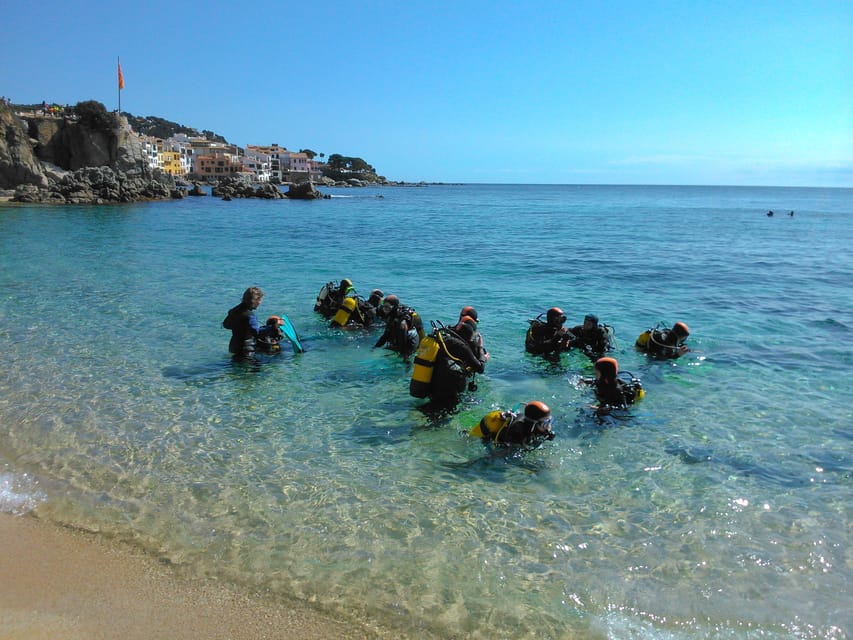 Calella de Palafrugell : Discover Scuba Diving Experience - Why This First Underwater Experience Works