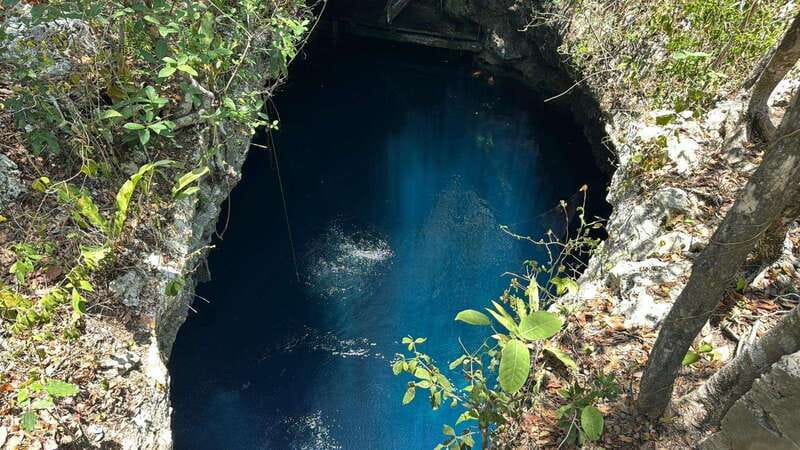 Cancun 2 Cenote Dives: The Pit & Dos Ojos - Certified Divers - The Pit, 45 minutes in clear underground water
