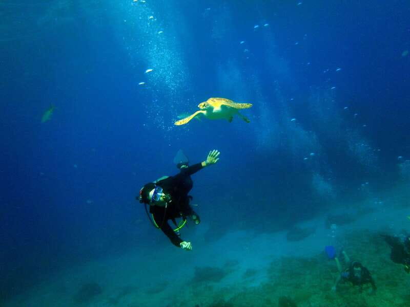 Cancun: 2-Tank Dive for Beginners with MUSA and Reef Dive - Theory Class and Pool Practice Before the Boat