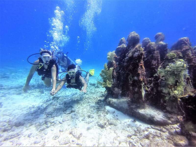Cancun: 2-Tank Dive for Beginners with MUSA and Reef Dive - First Session: The Sculptures of MUSA