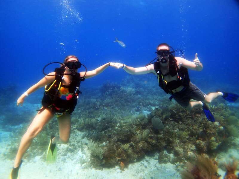 Cancun: 2-Tank Dive for Beginners with MUSA and Reef Dive - Should You Book This MUSA and Reef Trip?