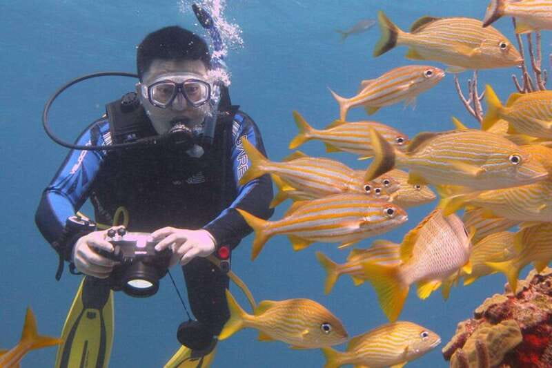 Cancun: Beginner Scuba Diving at Underwater Museum - Why the four-person limit is useful