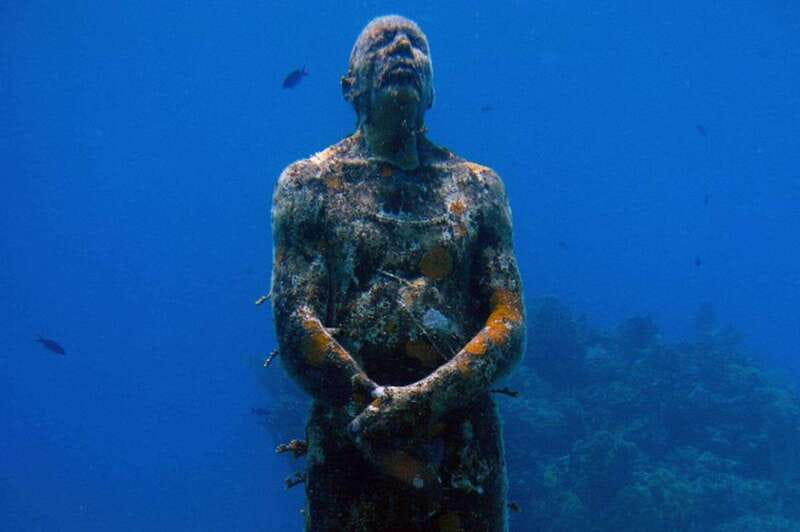 Cancun: Dive Underwater Museum & Manchones Reef - Manchones Reef brings the natural life