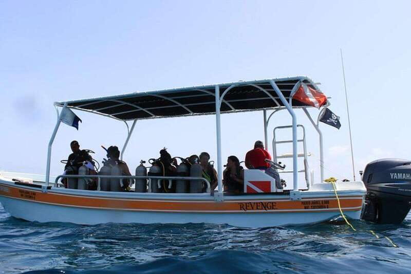 Cancun: Dive Underwater Museum & Manchones Reef - Timing, weather, and physical limits