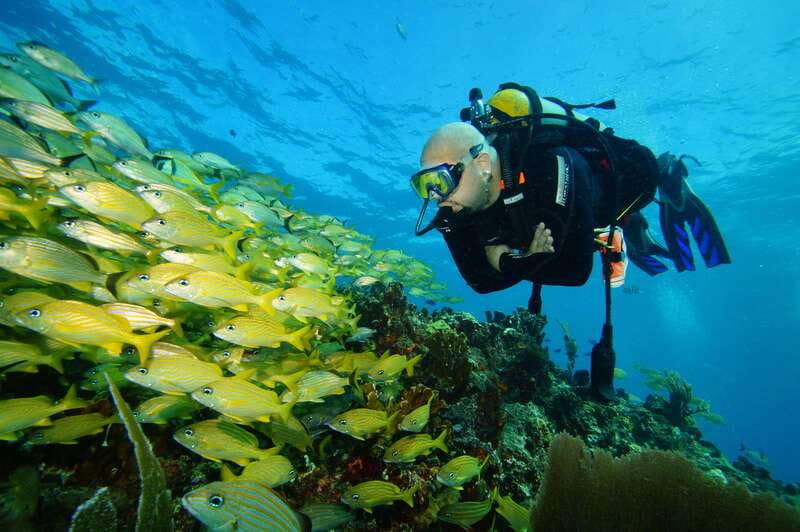 CANCUN: FIRST TIME DIVERS CANCUN - Key points to know before you book