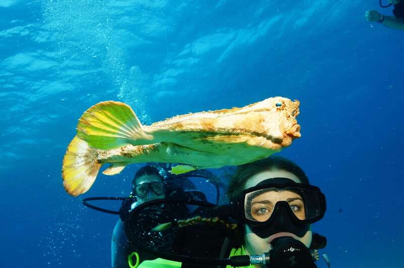 CANCUN: FIRST TIME DIVERS CANCUN - Practical tips for a calmer first experience