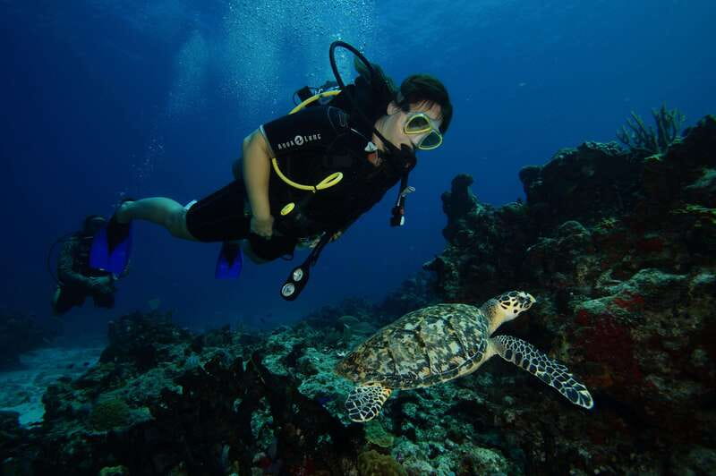 CANCUN: FIRST TIME DIVERS CANCUN - Starting at Aquafun Marina in Cancun’s hotel zone