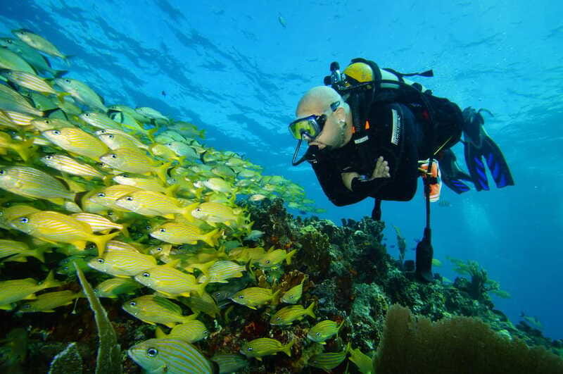 CANCUN: FIRST TIME DIVERS CANCUN - MUSA, where statues become part of the sea