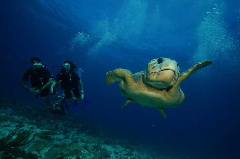 CANCUN: FIRST TIME DIVERS CANCUN - Personal service from a very small group