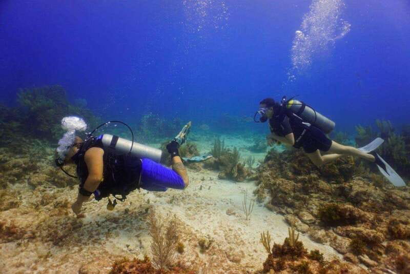 Cancun: MUSA Diving for certified divers morning dive trip - Why MUSA is worth seeing beneath Cancun